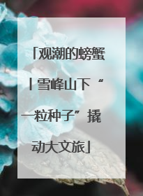 观潮的螃蟹丨雪峰山下“一粒种子”撬动大文旅