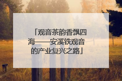 观音茶韵香飘四海——安溪铁观音的产业复兴之路