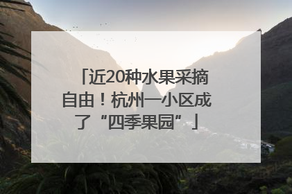 近20种水果采摘自由！杭州一小区成了“四季果园”