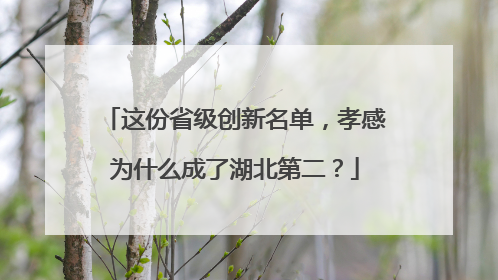 这份省级创新名单，孝感为什么成了湖北第二？