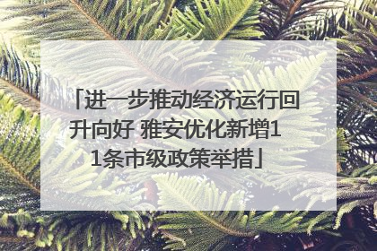 进一步推动经济运行回升向好 雅安优化新增11条市级政策举措
