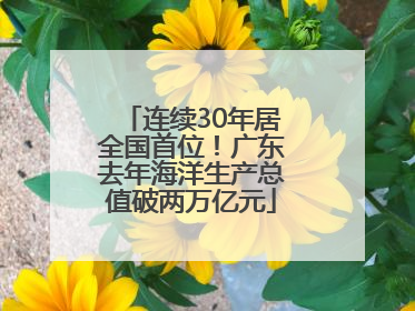 连续30年居全国首位！广东去年海洋生产总值破两万亿元