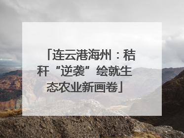 连云港海州：秸秆“逆袭”绘就生态农业新画卷
