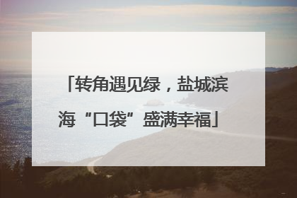 转角遇见绿，盐城滨海“口袋”盛满幸福