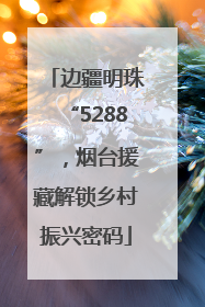 边疆明珠“5288”，烟台援藏解锁乡村振兴密码