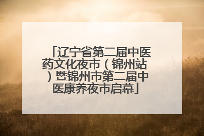 辽宁省第二届中医药文化夜市（锦州站）暨锦州市第二届中医康养夜市启幕
