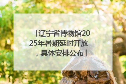 辽宁省博物馆2025年暑期延时开放，具体安排公布