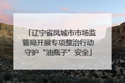 辽宁省凤城市市场监管局开展专项整治行动守护“油瓶子”安全