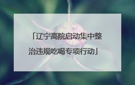辽宁高院启动集中整治违规吃喝专项行动