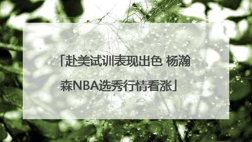 赴美试训表现出色 杨瀚森NBA选秀行情看涨