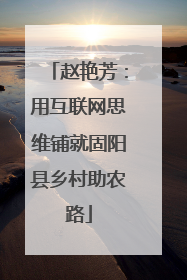 赵艳芳：用互联网思维铺就固阳县乡村助农路