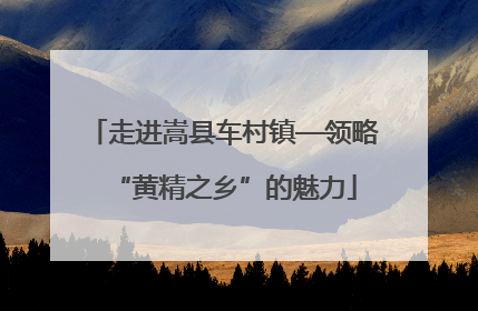 走进嵩县车村镇—领略“黄精之乡”的魅力