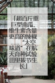 超百斤重巨型南瓜、维生素含量更高的辣椒……“太空味道”在航天育种试验田里拔节生长