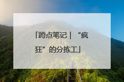蹲点笔记｜“疯狂”的分拣工