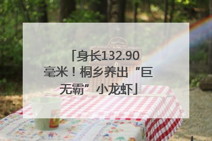 身长132.90毫米！桐乡养出“巨无霸”小龙虾
