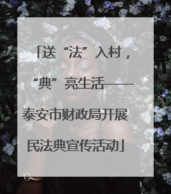 送“法”入村，“典”亮生活——泰安市财政局开展民法典宣传活动