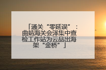 通关“零延误”：曲靖海关会泽集中查检工作站为云品出海架“金桥”