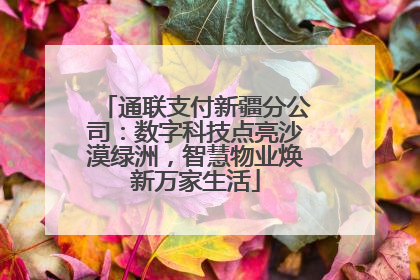 通联支付新疆分公司：数字科技点亮沙漠绿洲，智慧物业焕新万家生活