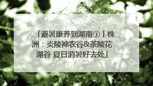 避暑康养到湖南③丨株洲：炎陵神农谷&茶陵花湖谷 夏日消暑好去处