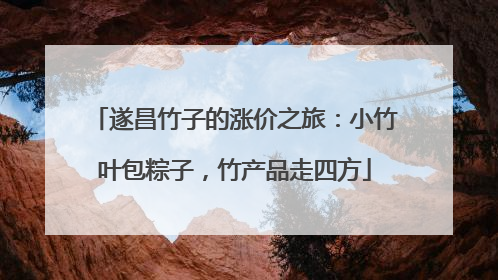 遂昌竹子的涨价之旅：小竹叶包粽子，竹产品走四方