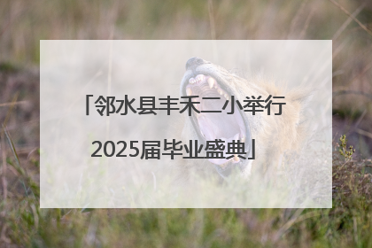 邻水县丰禾二小举行2025届毕业盛典