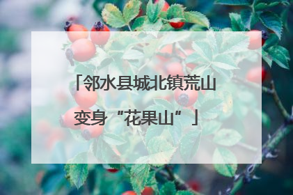 邻水县城北镇荒山变身“花果山”