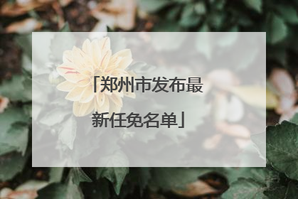郑州市发布最新任免名单