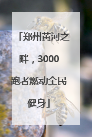 郑州黄河之畔，3000跑者燃动全民健身
