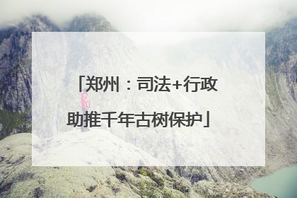 郑州：司法+行政助推千年古树保护
