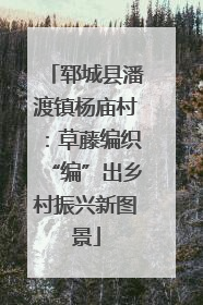 郓城县潘渡镇杨庙村：草藤编织“编”出乡村振兴新图景