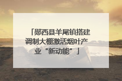 郧西县羊尾镇搭建调制大棚激活烟叶产业“新动能”