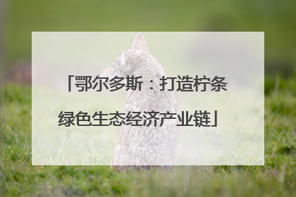 鄂尔多斯：打造柠条绿色生态经济产业链