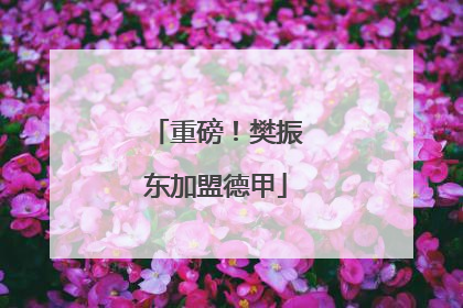 重磅！樊振东加盟德甲