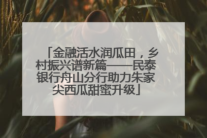 金融活水润瓜田，乡村振兴谱新篇——民泰银行舟山分行助力朱家尖西瓜甜蜜升级