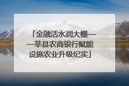 金融活水润大棚——莘县农商银行赋能设施农业升级纪实