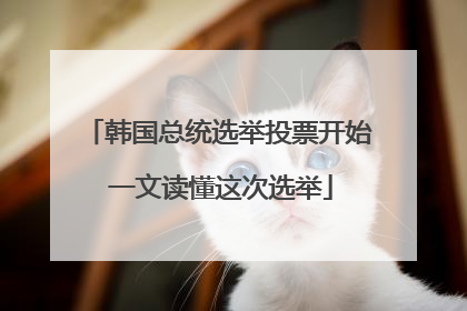 韩国总统选举投票开始 一文读懂这次选举