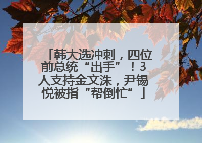 韩大选冲刺，四位前总统“出手”！3人支持金文洙，尹锡悦被指“帮倒忙”