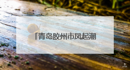 青岛胶州市凤起潮鸣小区因擅自选聘物业被罚3万元