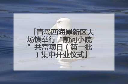 青岛西海岸新区大场镇举行“前河小院”共富项目（第一批）集中开业仪式