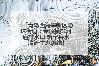 青岛西海岸新区隐珠街道：专项摸排河道排水口 筑牢碧水清流生态防线