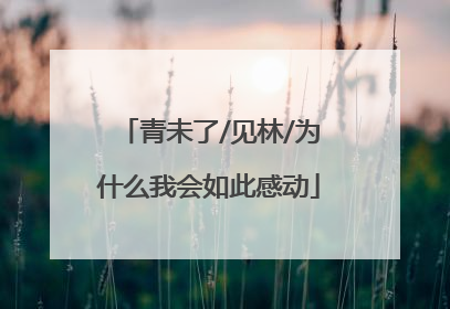 青未了/见林/为什么我会如此感动