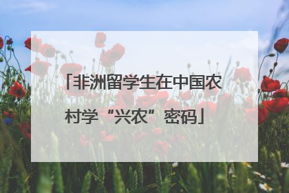 非洲留学生在中国农村学“兴农”密码