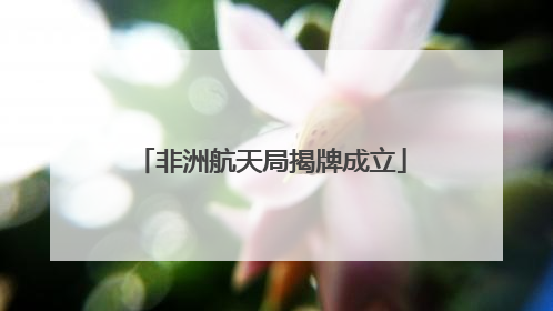 非洲航天局揭牌成立