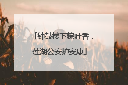 钟鼓楼下粽叶香，莲湖公安护安康