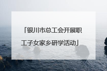 银川市总工会开展职工子女家乡研学活动