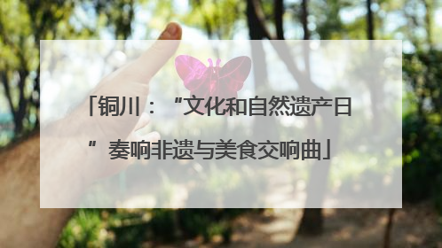 铜川：“文化和自然遗产日”奏响非遗与美食交响曲