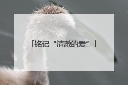 铭记“清澈的爱”