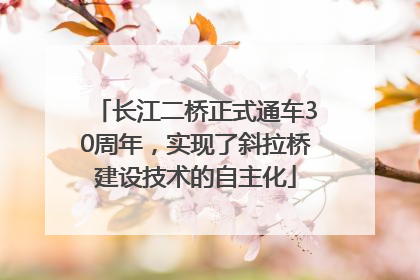 长江二桥正式通车30周年，实现了斜拉桥建设技术的自主化