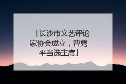 长沙市文艺评论家协会成立，曹隽平当选主席