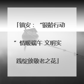 镇安：“银龄行动”情暖端午 文明实践绽放敬老之花